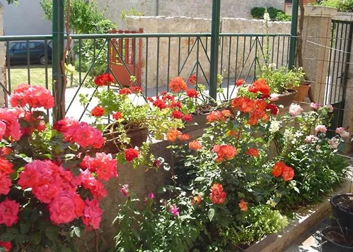 Апартаменты A&n Пакоштане