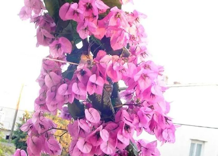 A&n Апартаменты